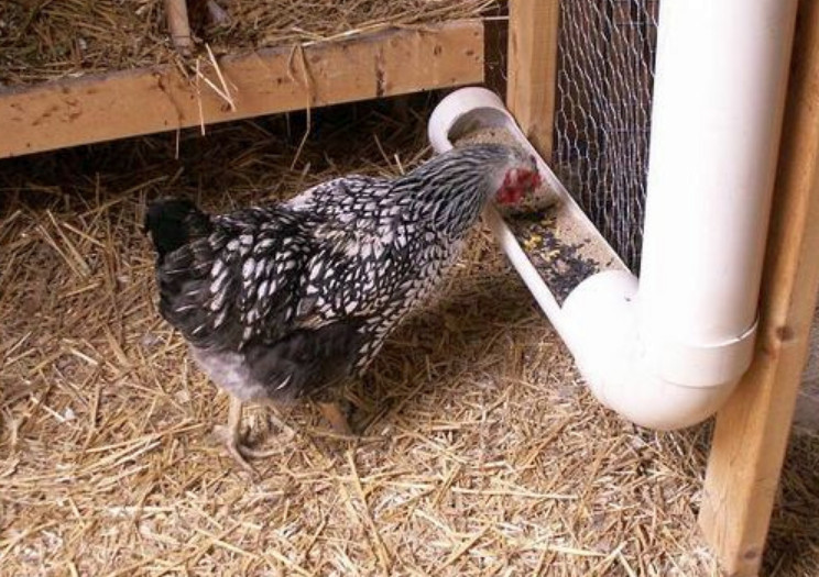 Gutter suspended poultry feeder