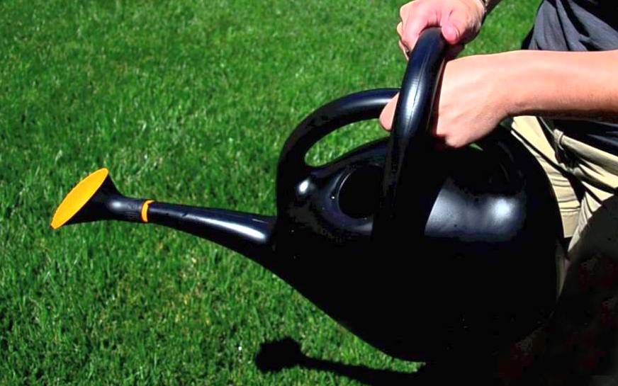 Long-Neck watering can